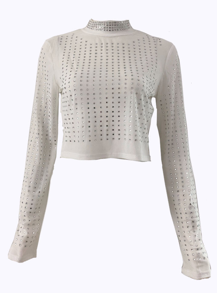 Sheer Mesh Mock Neck Crop Top